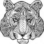 dessin mandala tigre