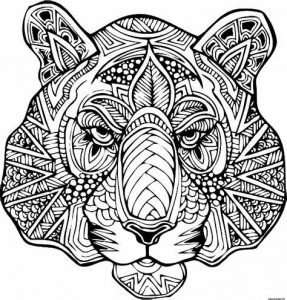 dessin mandala tigre